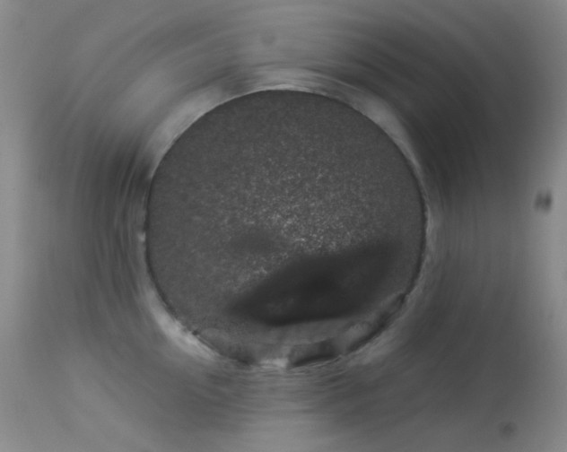 X0000114210954200910091321