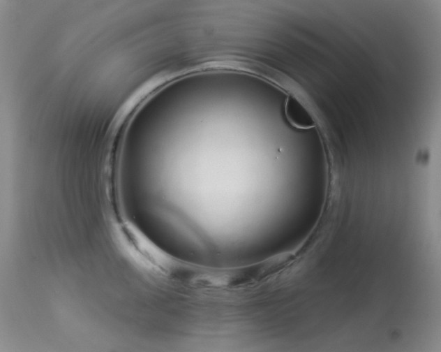 X0000114210955200910091321