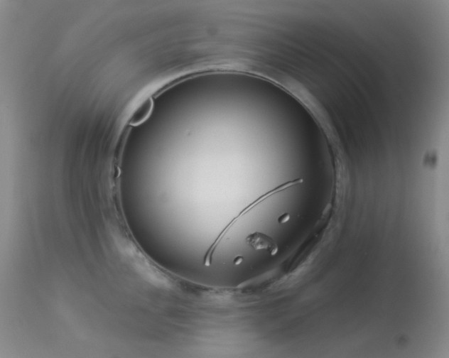 X0000114210956200910091321