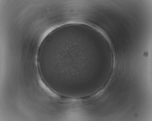 X0000114210958200910091321