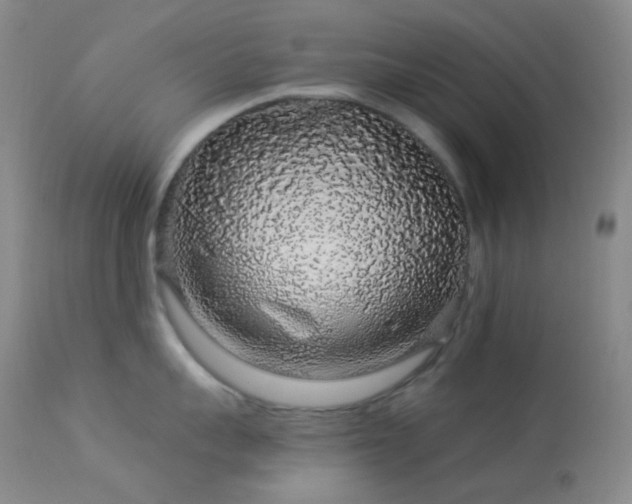 X0000114210959200910091321