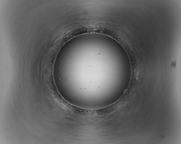 X0000114210961200910091320