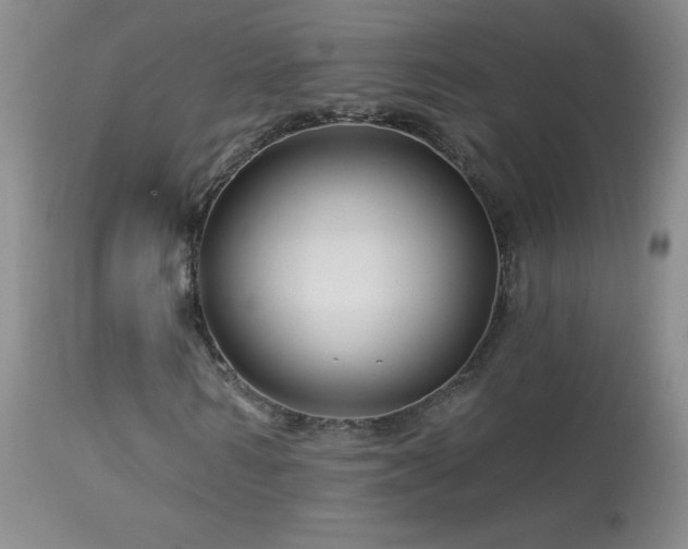 X0000114210962200910091320