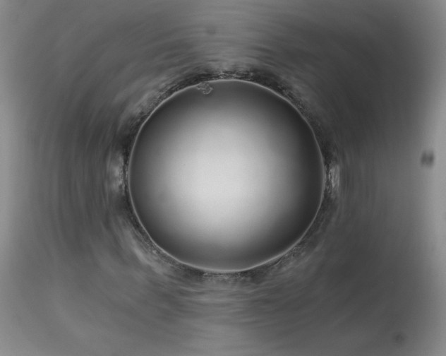 X0000114210963200910091320