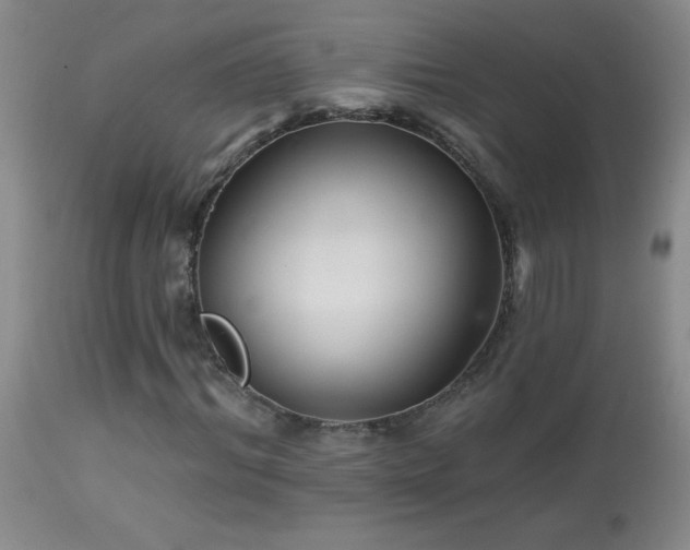 X0000114210964200910091320
