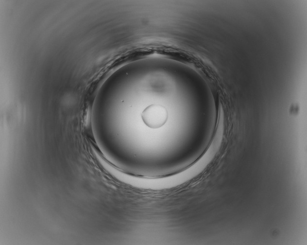 X0000114210965200910091320