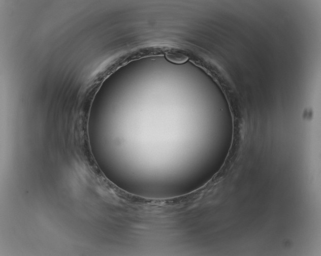X0000114210968200910091320