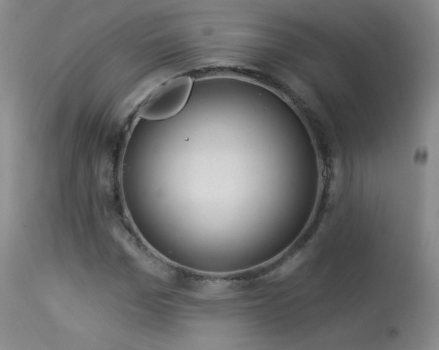 X0000114210969200910091320