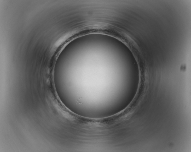 X0000114210970200910091320