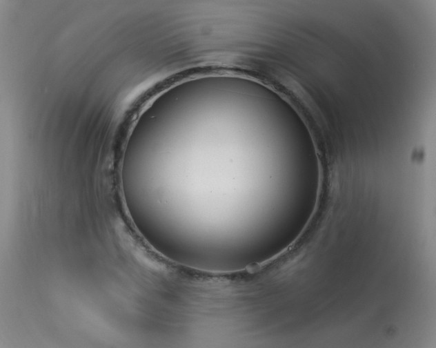 X0000114210971200910091320