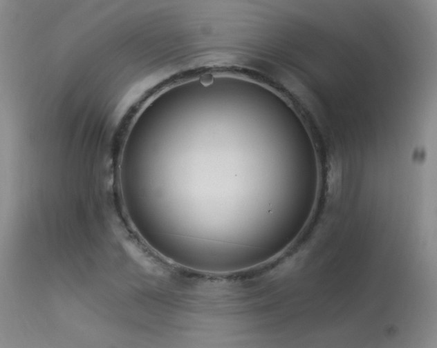 X0000114210973200910091320