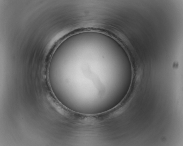 X0000114210974200910091320