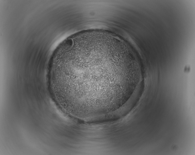 X0000114210975200910091320