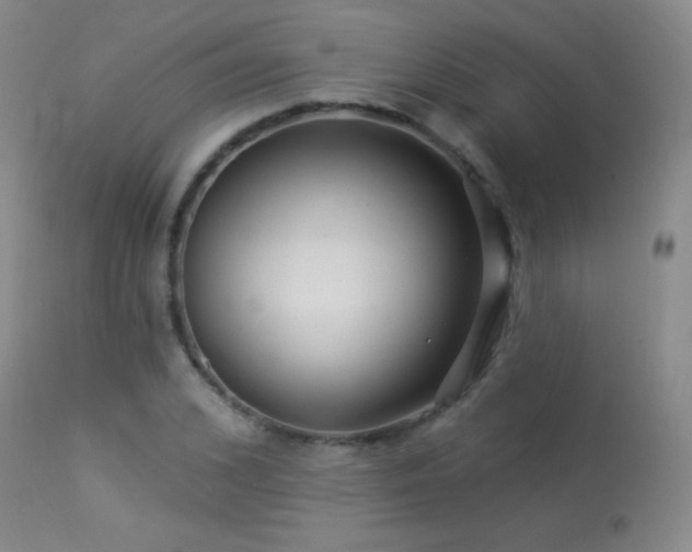 X0000114210976200910091320
