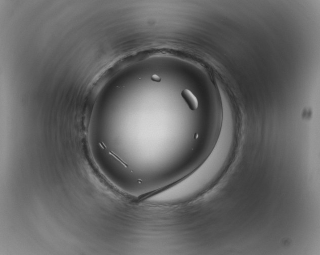 X0000114210977200910091320