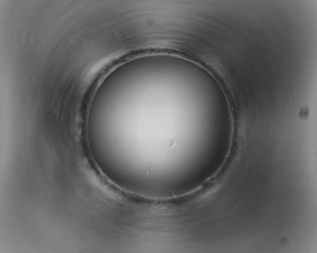 X0000114210979200910091320