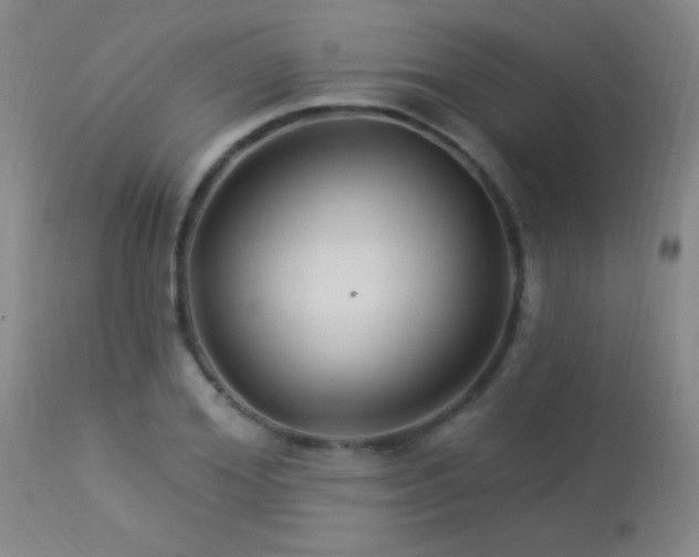 X0000114210980200910091320