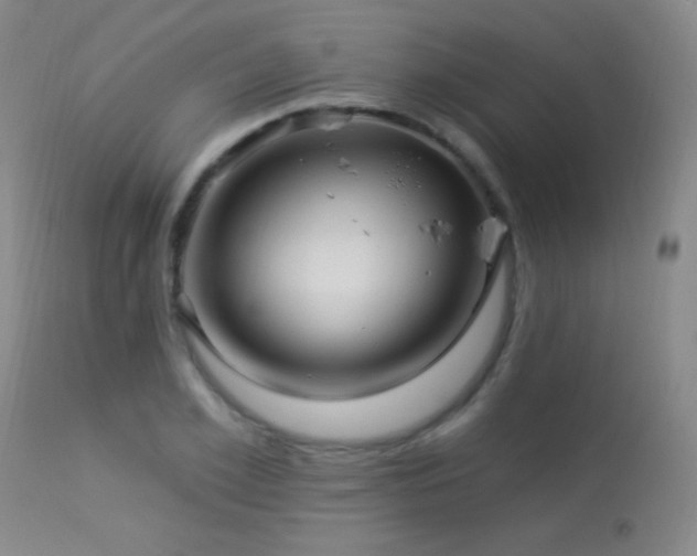 X0000114210981200910091320