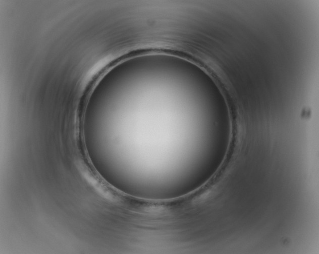 X0000114210982200910091320
