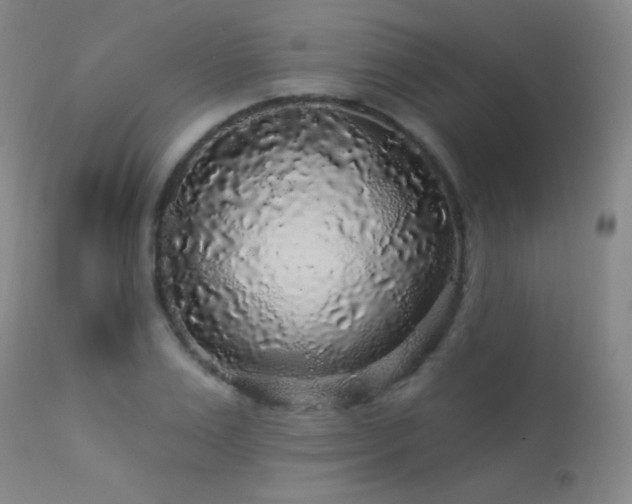 X0000114210983200910091320