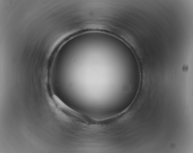 X0000114210984200910091320