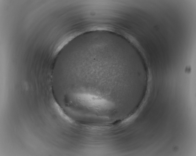 X0000114210985200910091320