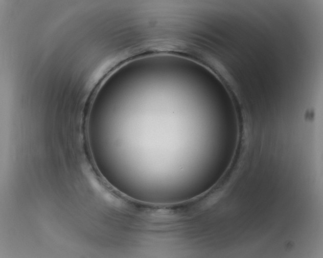 X0000114210986200910091320