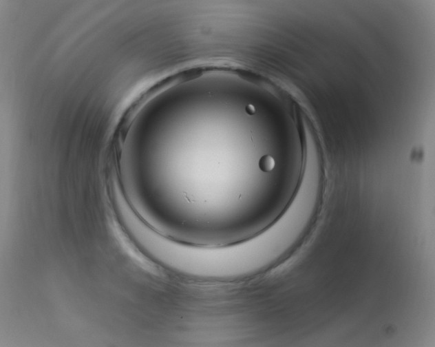 X0000114210989200910091320
