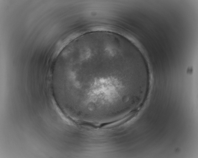 X0000114210993200910091319