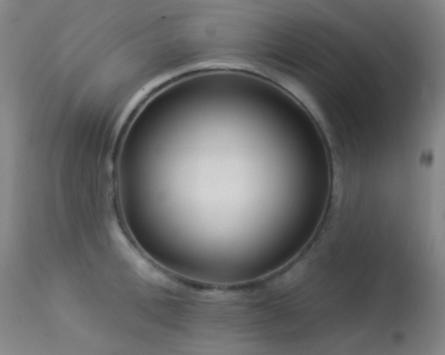 X0000114210996200910091319