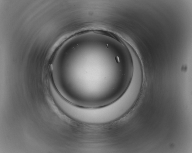 X0000114210997200910091319
