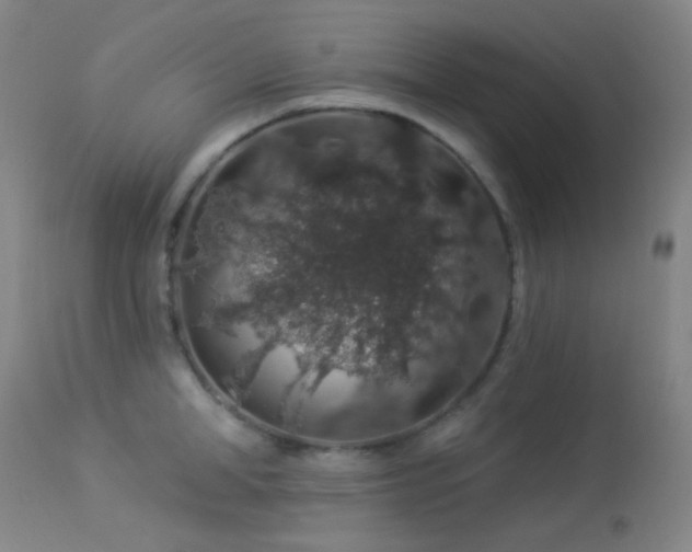 X0000114210998200910091319