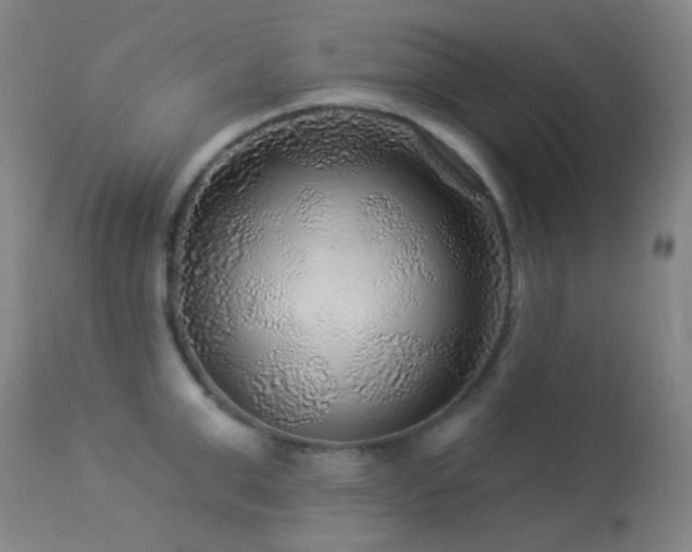 X0000114210999200910091319
