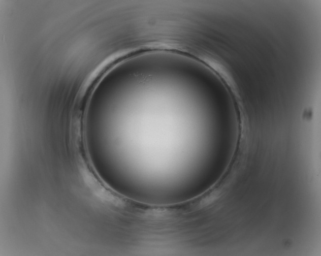 X0000114211000200910091319