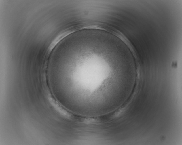 X0000114211002200910091319
