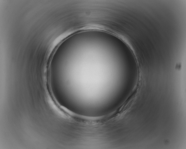 X0000114211003200910091319