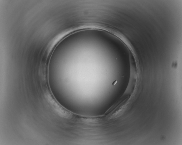 X0000114211004200910091319