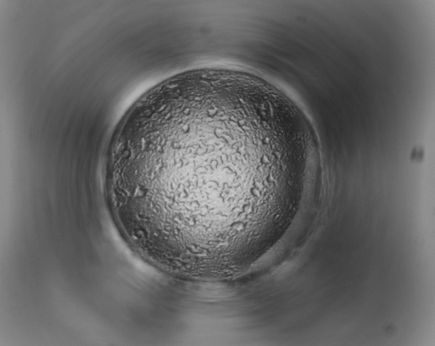 X0000114211007200910091319