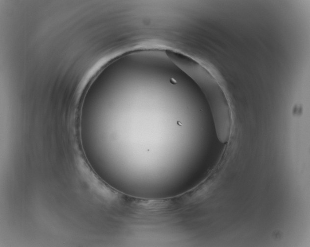 X0000114211008200910091319