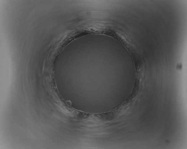 X0000114211009200910091319