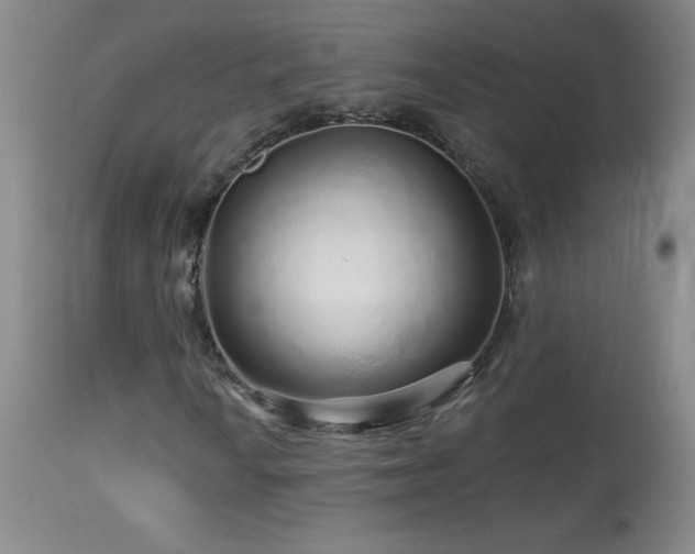 X0000114211010200910091319