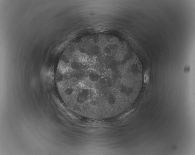 X0000114211011200910091319