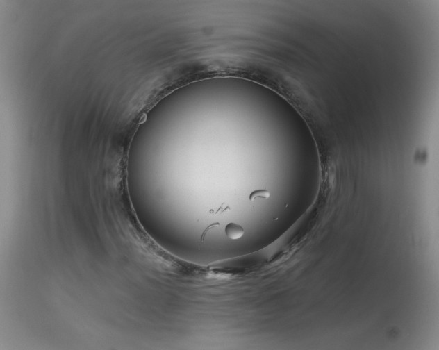 X0000114211012200910091319