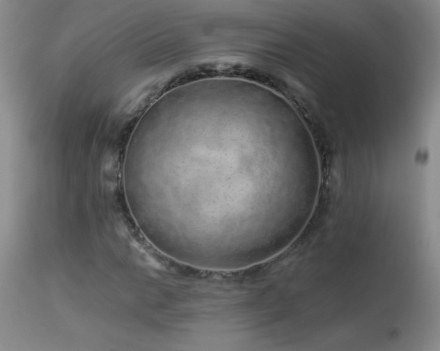 X0000114211014200910091319