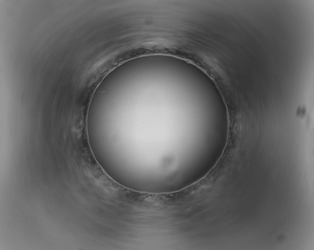 X0000114211015200910091319