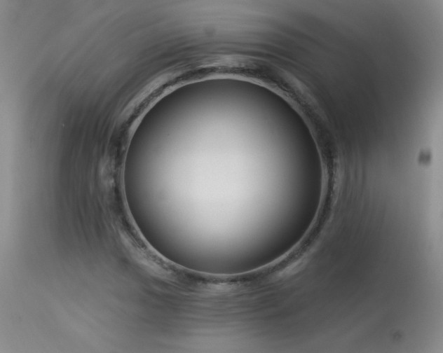 X0000114211017200910091319