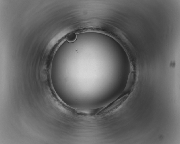 X0000114211018200910091319