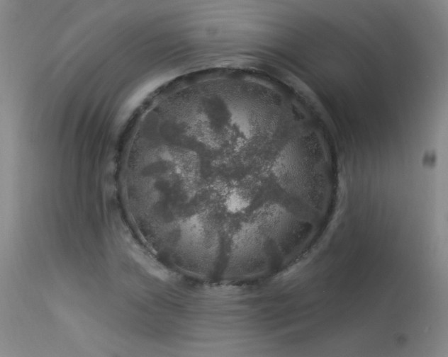 X0000114211019200910091319