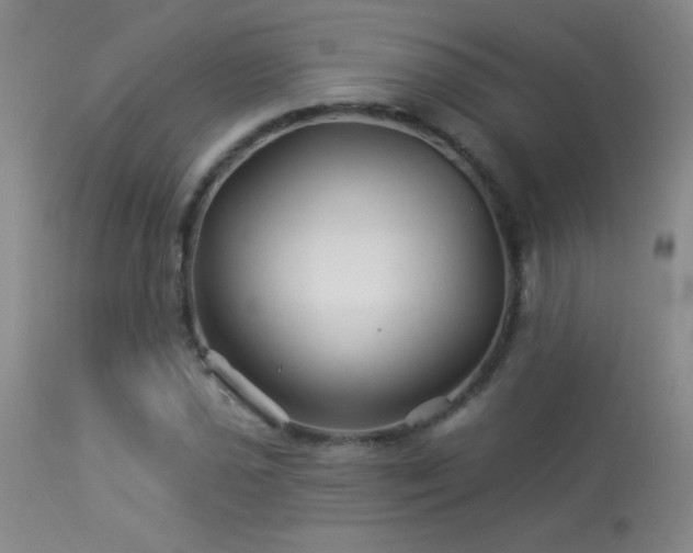 X0000114211021200910091319