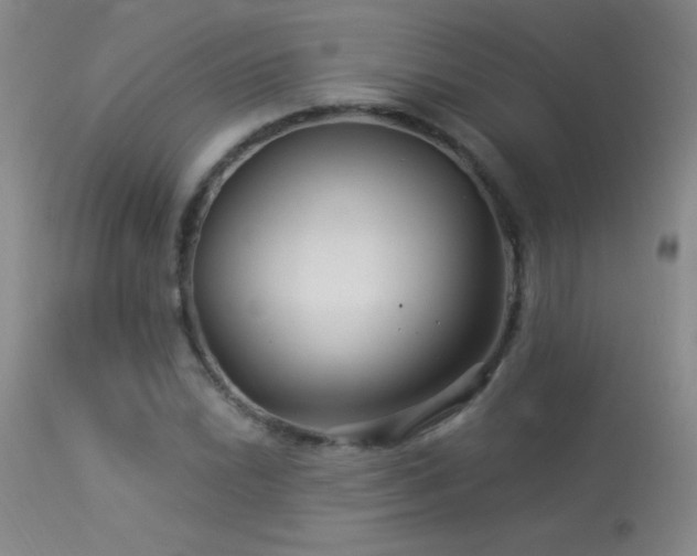 X0000114211022200910091319
